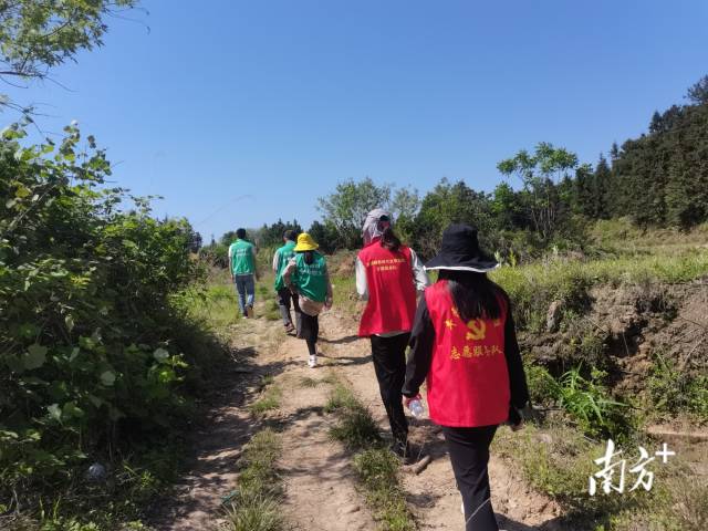 豐陽鎮(zhèn)的440余名黨群志愿者堅守先鋒崗，守護豐陽的綠水青山。